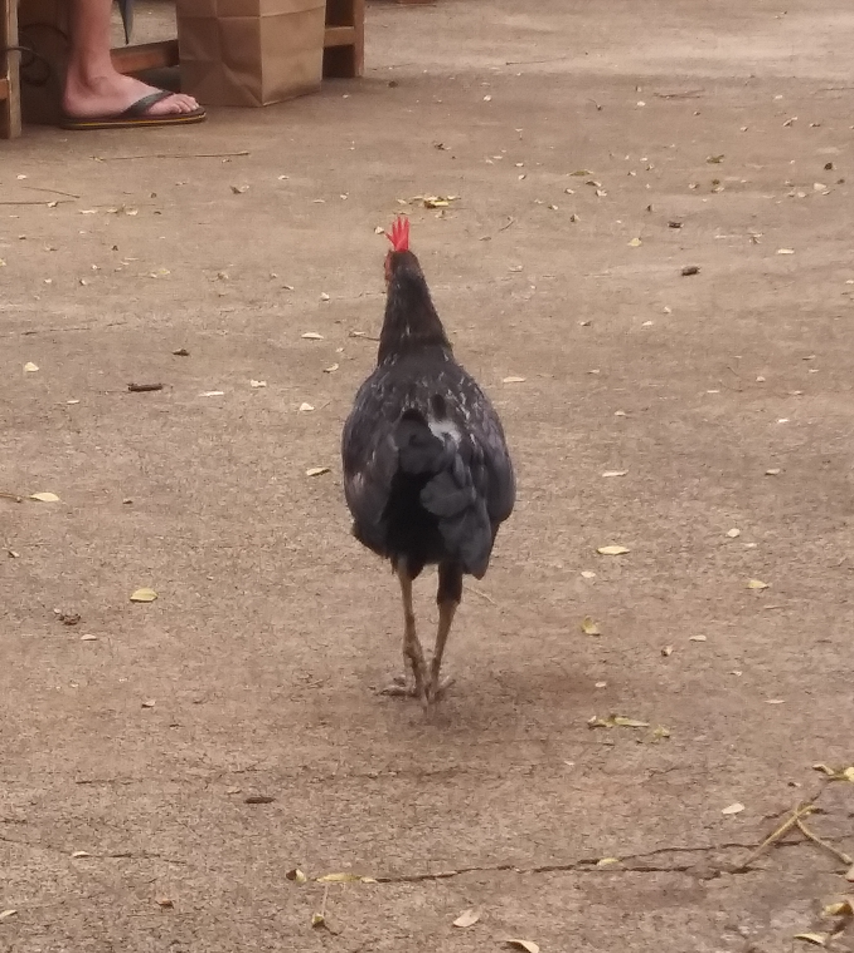 walking away